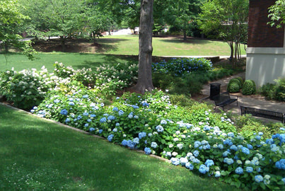 Knoxville Landscaping Company Flowers